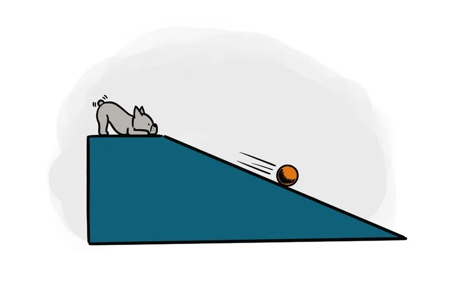 A cat watches a ball roll down a teal ramp.